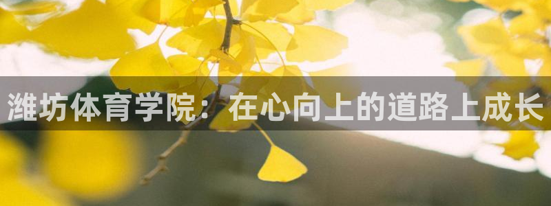 凯发官方正版app集团:潍坊体育学院:在心向上的道路上成长