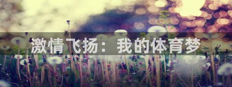 凯发官网下载:激情飞扬:我的体育梦