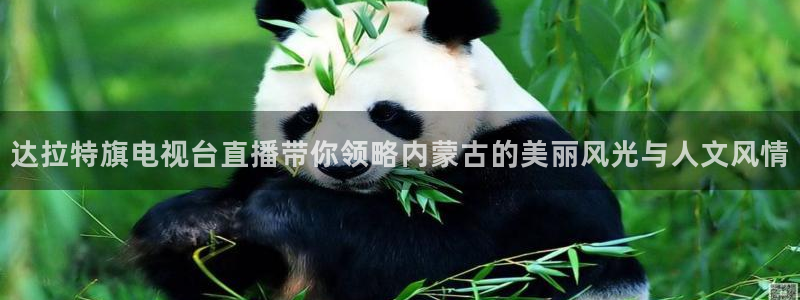qy千亿球友体育：达拉特旗电视台直播带你领略内蒙古的美丽风光与人文风情