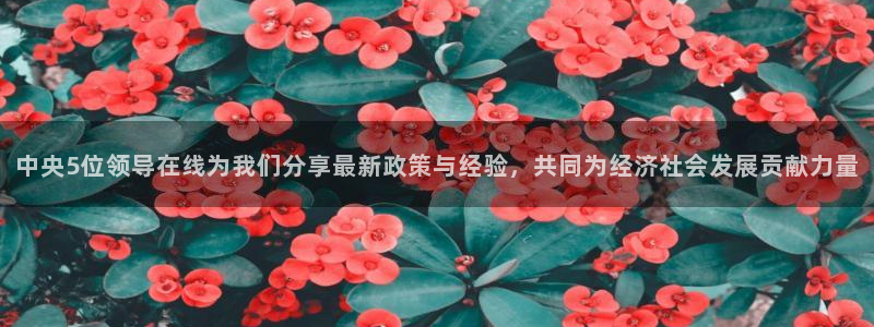 球友体育官网：中央5位领导在线为我们分享最新政策与经验，共同为经济社会发展贡献力量